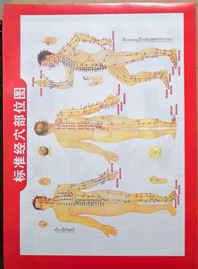 人体标准经.穴部位图 施灸取穴参考图 艾灸穴位图挂图(双面）
