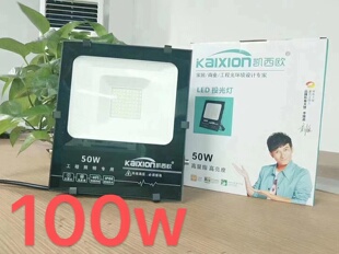 凯西欧照明投射灯投光灯泛光灯户外防水IP65室外壁灯高亮50W100W