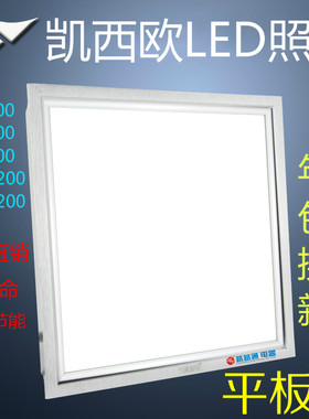 凯西欧铝扣板嵌入30*60厨卫灯