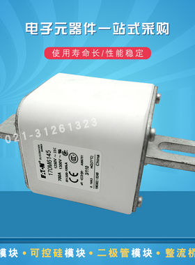 快速熔断器保险丝170M6146 6417 6148 6149 6450 6451 6459 6458