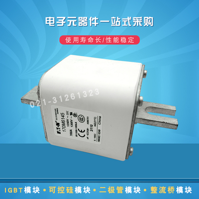 快速熔断器保险丝170M6146 6417 6148 6149 6450 6451 6459 6458