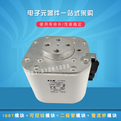 170M7804 7963 7969 7975 7978 7982 8330 8503 8504快速熔断器