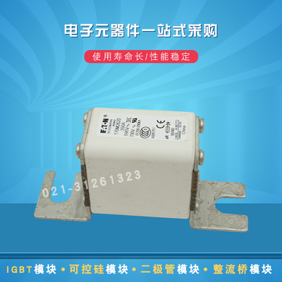 伊顿快速熔断器保险丝