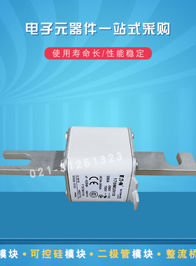 伊顿巴斯曼熔断器170M3969 3970 3971 3972 3973 3974 3975保险丝