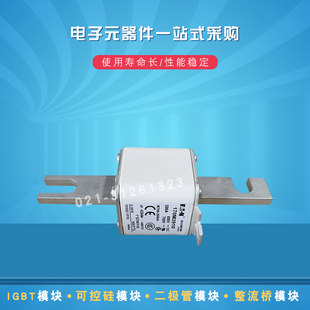 伊顿巴斯曼熔断器170M3969 3970 3971 3972 3973 3974 3975保险丝