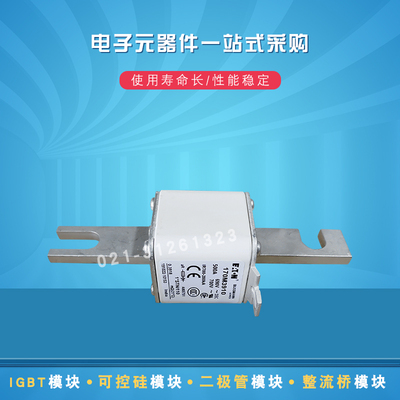伊顿巴斯曼熔断器170M3969 3970 3971 3972 3973 3974 3975保险丝