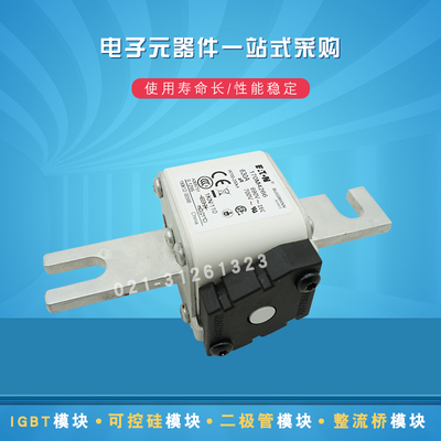伊顿巴斯曼熔断器170M4313 4314 4315 4316 4317 4318 4358 4359