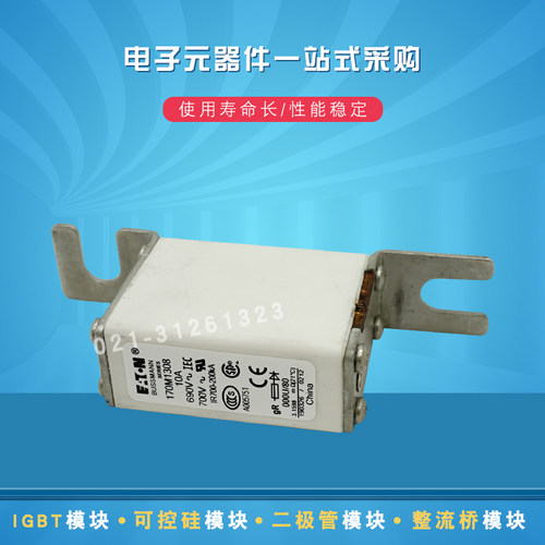 巴斯曼快速熔断器170M1308 1309 1310 1311 1312 1314 1314 1315