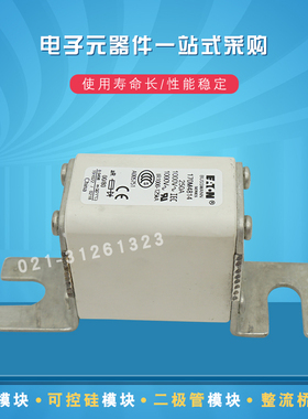 170M4864D 4865D 4866D 4867D 4921 4922 4923快速熔断器保险丝