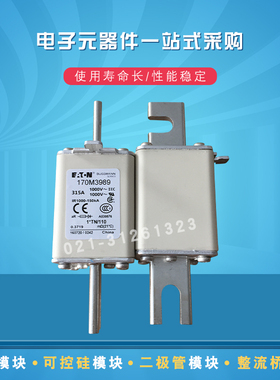 伊顿快速熔断器保险丝170M3981 3982 3983 3984 3985 3986 3987原
