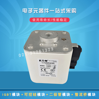 快速熔断器保险丝170M6485 6486 6494 6495 6496 6497 6498 6499