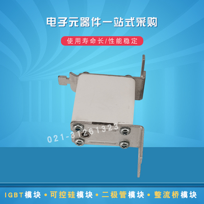 快速熔断器保险丝170M4830 4831 4832 4833 4834 4863D 4835全新