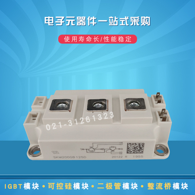 SKM200GB125D SKM300GB125D SKM400GB125DIGBT模块全新