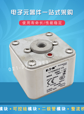 170M5516 5517 5518 5519 5531 5532 5533 5534快速熔断器保险丝