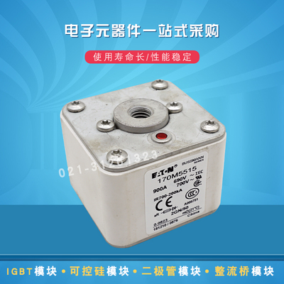 170M5516 5517 5518 5519 5531 5532 5533 5534快速熔断器保险丝