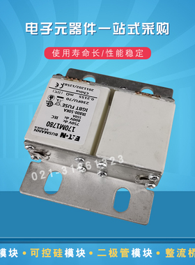 巴斯曼快速熔断器170M1786 1787 1788 1789 1780 1791 1792 1793