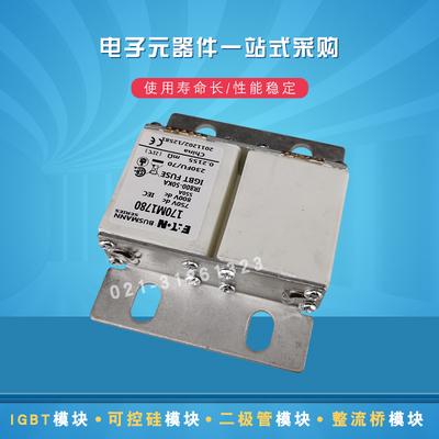 巴斯曼快速熔断器170M1786 1787 1788 1789 1780 1791 1792 1793