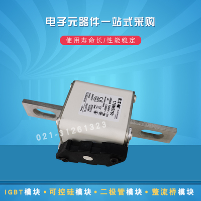巴斯曼熔断器170M5751 5758 5759 5760 5761 5762 5763 5764 5765