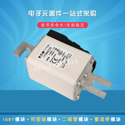 巴斯曼熔断器保险丝170M4216 4217 4218 4219 4238 4239 4240现货