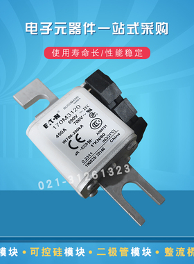 170M3108 3109 3110 3111 3112 3113 3114 3115快速熔断器保险丝