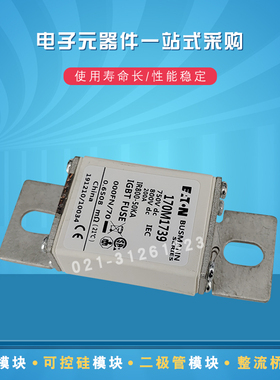 Bussmann熔断器保险丝170M1740 1741 1742 1750 1751 1752 1753