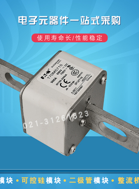 170M5715 5716 5717 5718 5720 5722 5723 5724 5725巴斯曼熔断器