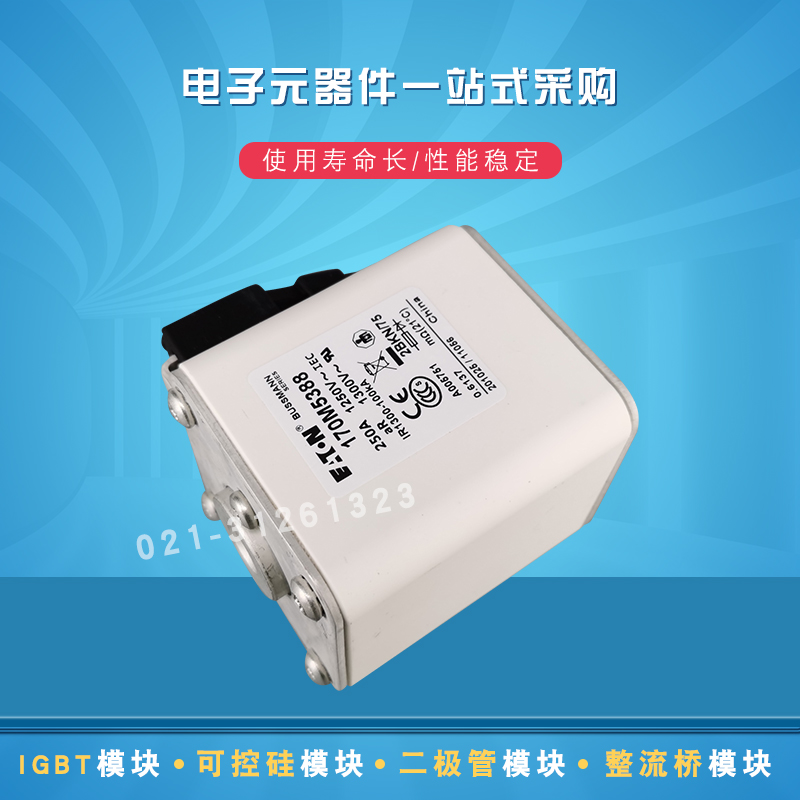 全新现货170M5371 5374 5388 5389 5390 5391 5392快速熔断器原装