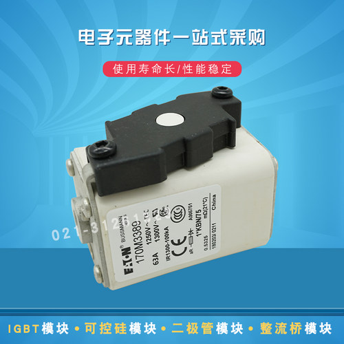 快速熔断器保险丝170M3517 3518 3519 3520 3521 3522 3523 3524