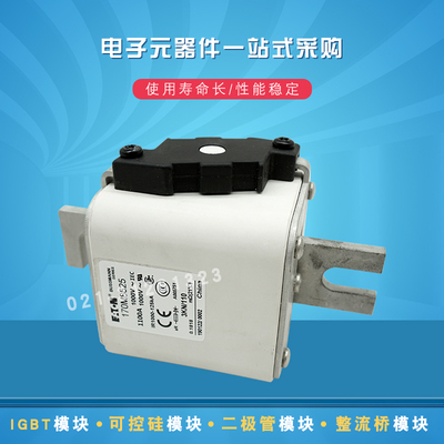 巴斯曼170M8616快速熔断器