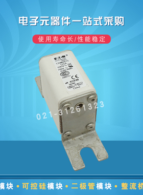 Bussmann快速熔断器170M2766 2767 2768 2769 2770 2771 2817全新
