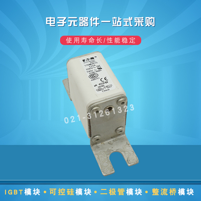 Bussmann快速熔断器170M2766 2767 2768 2769 2770 2771 2817全新