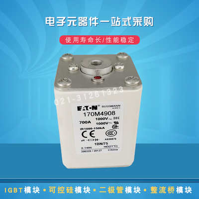 快速熔断器保险丝170M4971 4972 4973 4974 4980 4981 4982 4983