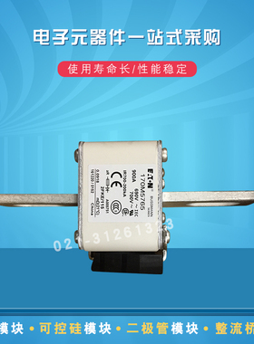 快速熔断器保险丝170M5767 5768 5775 5776 5804 5805 5806 5807