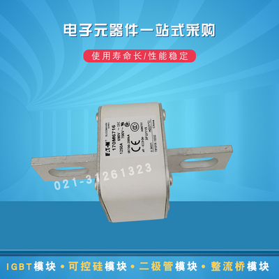 巴斯曼熔断器170M6715 6716 6717 6718 6719 6720 6721 6723 6731