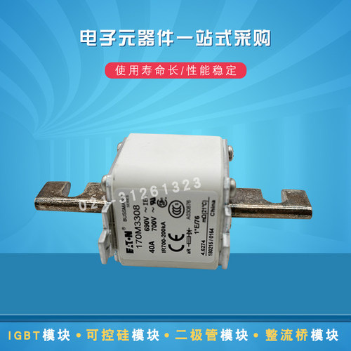 快速熔断器保险丝170M3308 3309 3310 3311 3312 3313 3314 3315