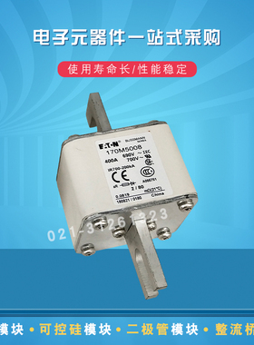 170M5009 5010 5011 5012 5013 5014 5015 5016快速熔断器保险丝