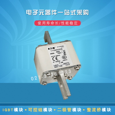 170M5009 5010 5011 5012 5013 5014 5015 5016快速熔断器保险丝