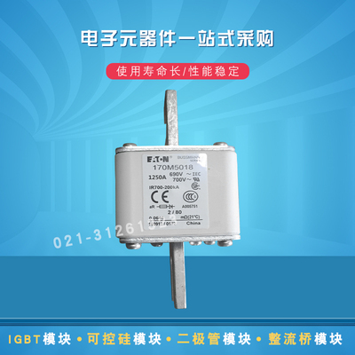 巴斯曼快速熔断器170M5065 5066 5067 5068 5108 5109 5110 5111