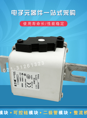 170M8621 8622 8623 8624 8625 8626 8627 8629快速熔断器保险丝