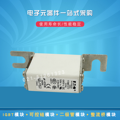 快速熔断器保险丝170M2016 2017 2018 2019 2020 2021 2022 2023