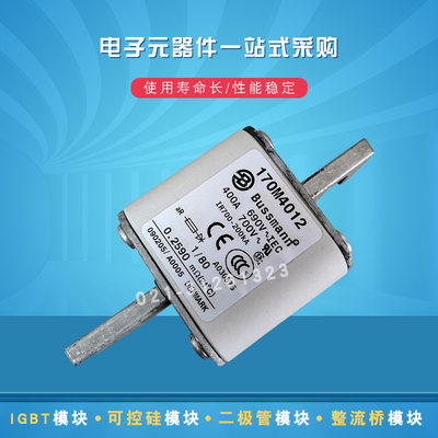 巴斯曼快速熔断器170M4012 4013 4014 4015 4016 4017 4018 4019
