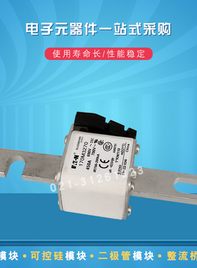 快速熔断器170M3269 3270 3271 3272 3273 3286 3289 3292 3293原