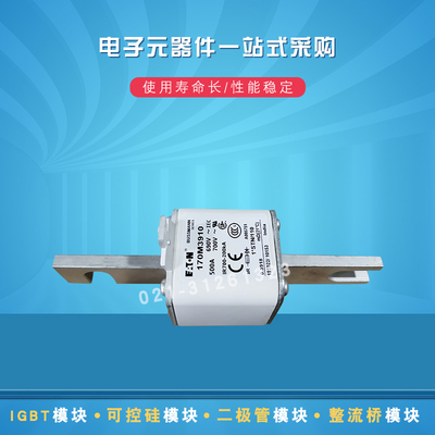 快速巴斯曼熔断器保险丝170M3907 3908 3909 3910 3921 3922 3923