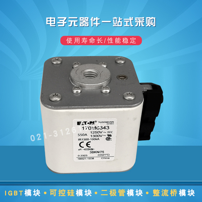 巴斯曼熔断器保险丝170M6341 6342 6343 6344 6345 6346 6347现货