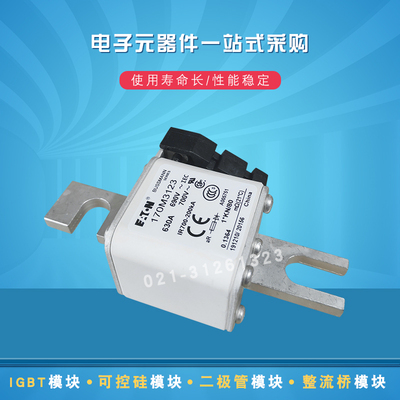 巴斯曼快速熔断器170M3531 3532 3533 3534 3536 3535 3537 3538