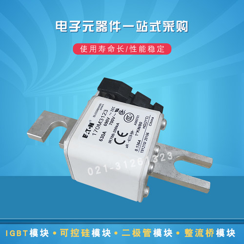 巴斯曼快速熔断器170M3531 3532 3533 3534 3536 3535 3537 3538