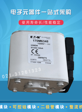 巴斯曼熔断器170M6348 6349 6358 6359 6360 6361 6362 6363 6364