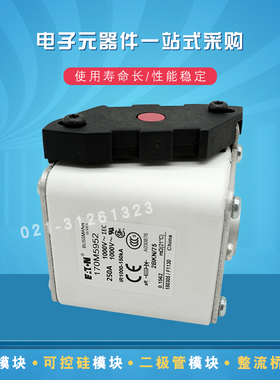快速熔断器保险丝170M5925 5926 5927 5928 5929 5930 5931 5952