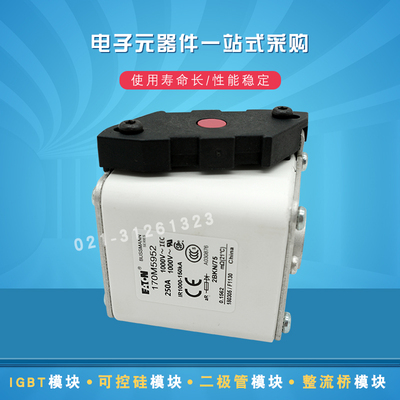 快速熔断器保险丝170M5925 5926 5927 5928 5929 5930 5931 5952