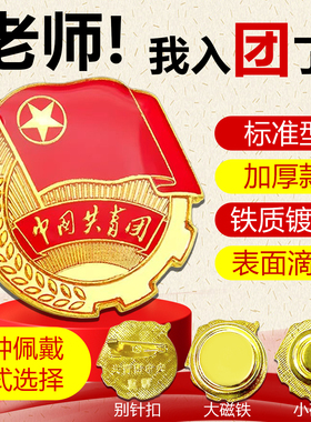 2.0CM中国共青团员徽章标准团员徽章中小学入团别针款胸章磁扣款